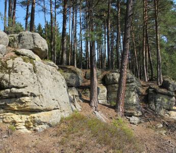 Huhulenik / CC BY (https://creativecommons.org/licenses/by/3.0);  https://upload.wikimedia.org/wikipedia/commons/3/30/Ma%C5%A1tale_2.jpg