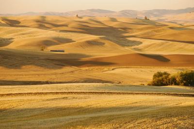 Von Cheryl Dudley - Flickr: From Kamiak Butte, CC BY 2.0, https://commons.wikimedia.org/w/index.php?curid=13572081