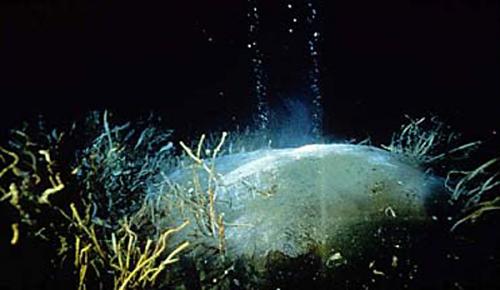 Unknown author / Public domain;  https://upload.wikimedia.org/wikipedia/commons/a/ae/Seafloor_mounds.jpg